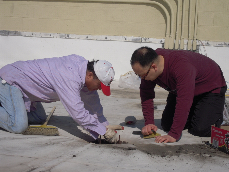 Resized_va roof 058.jpg